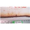 Image 4 : Coca-cola metal sign - 13.5x23.5