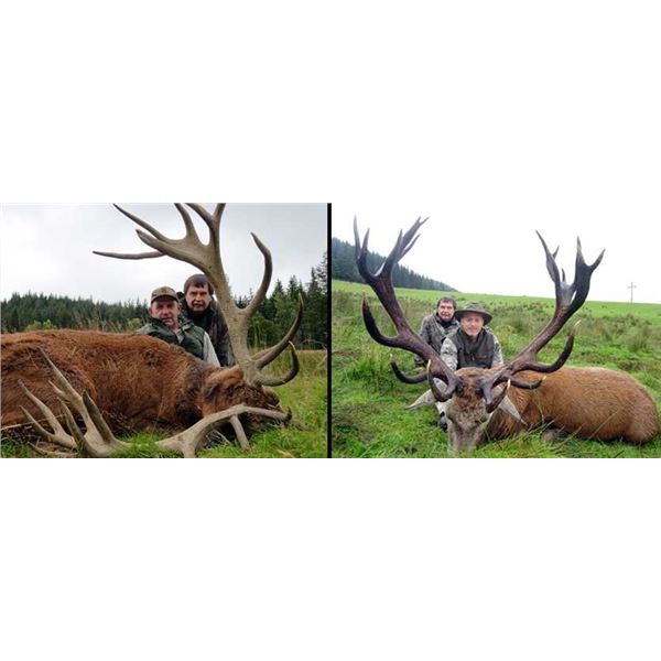 International Adventures Unlimited Scotland Red Stag Hunt