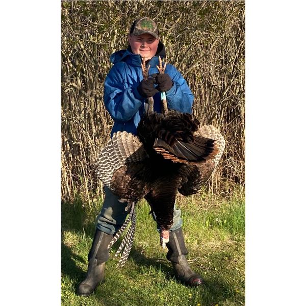 Wild Spirit Guide Service  Wild Hog/Turkey Combo Hunt for Two Hunters