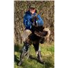 Image 1 : Wild Spirit Guide Service  Wild Hog/Turkey Combo Hunt for Two Hunters