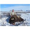 Image 5 : Inuit Outfitting ApS Greenland Winter Musk Ox Hunt