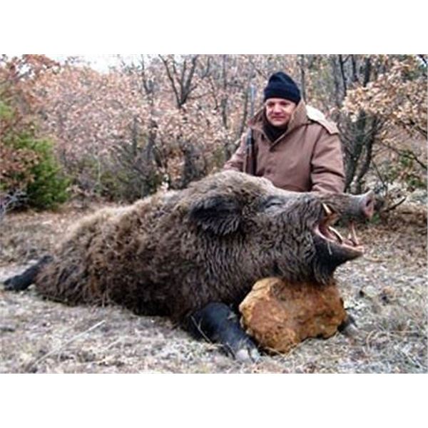 Anurita Ranch  Argentina Wild Boar & Ram Hunt