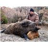 Image 1 : Anurita Ranch  Argentina Wild Boar & Ram Hunt