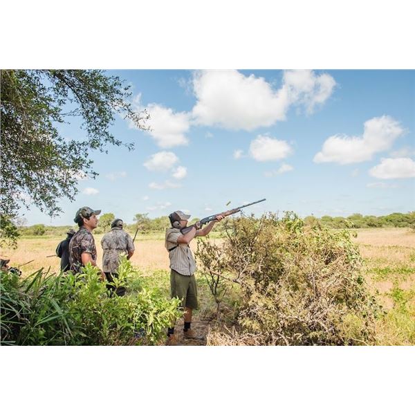 Norte Hunters Dove Hunt in Cordoba, Argentina for four hunters