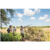 Image 1 : Norte Hunters Dove Hunt in Cordoba, Argentina for four hunters