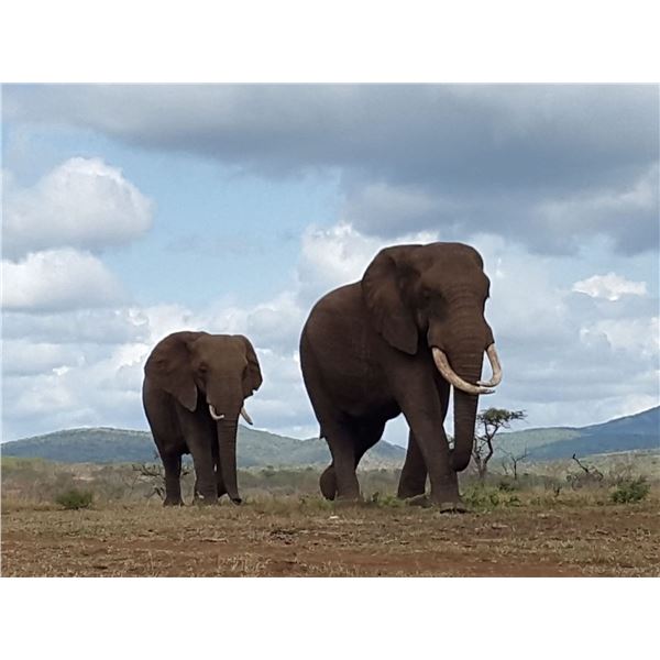 ZEEKOEPAN SAFARIS, KWAZULU-NATAL, SOUTH AFRICA  Photo Safari