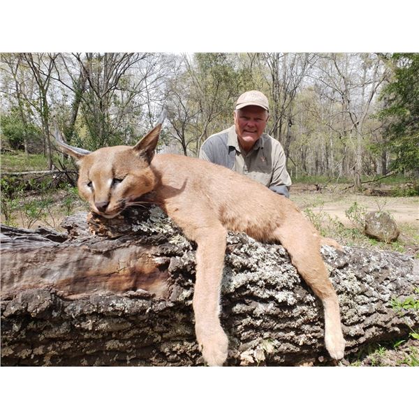 Hunt’sOn Safaris  8 Day Safari in the Eastern Cape for one hunter