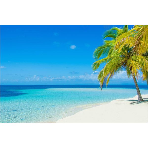 Sporting Adventures  Winner’s Choice: Costa Rica, Belize or Cabo Villa