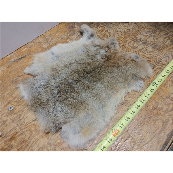 Rabbit Pelt