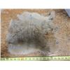 Image 2 : Rabbit Pelt