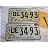 Image 4 : 1968-69 Sask car plates & 1971 Manitoba plates