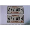 Image 2 : Friendly Manitoba Matching License Plates - Black/White 1983 w/ 84 & 85 Tags