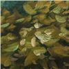 Image 5 : Acrylic on Canvas Signed Lucie Ayotte