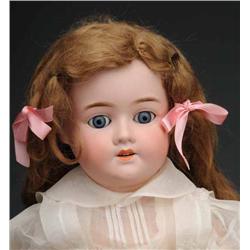 Schoenau Hoffmeister 5500 Doll.