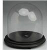 Image 1 : Glass Dome.