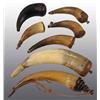 Image 1 : Lot of 7: Miscellaneous Antique Powder Horns.