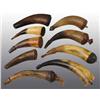 Image 1 : Lot of 9: Miscellaneous Antique Powder Horns.