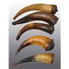 Image 1 : Lot of 5: Miscellaneous Antique Powder Horns.