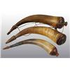 Image 1 : Lot of 3: Miscellaneous Antique Powder Horns.
