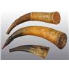 Image 1 : Lot of 3: Miscellaneous Antique Powder Horns.