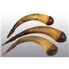 Image 1 : Lot of 3: Antique Screw-Tip Powder Horns.