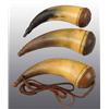 Image 1 : Lot of 3: Miscellaneous Small Horns.