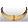 Image 1 : Rare Double Powder Horn.