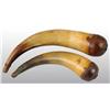 Image 1 : Lot of 2: Powder Horns.