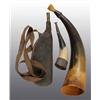 Lot of 3: Powder Horns.