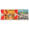 Image 2 : Lot of 3: Tootsie Toy Airplane & Rocket Sets.