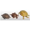 Image 1 : Lot of 3: Tin Turtle Toys.
