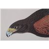 Image 8 : J.J. Audubon Louisiana Hawk 1837 Lithograph