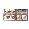 Image 10 : Stereo View Card Collection C. Early 1900"s (100)