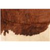 Image 10 : Exotic Tri-Colored Speckled Cowhide Premium Rug