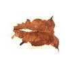 Image 1 : Exotic Tri-Colored Speckled Cowhide Premium Rug