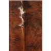 Image 8 : Light Brindle Tri Color Brown Premium Cowhide