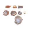Image 1 : Oregon Fossilized Wood and Thunder Eggs