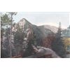 Image 3 : Original K.F. Roahen Montana Tinted Photograph
