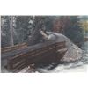 Image 5 : Original K.F. Roahen Montana Tinted Photograph