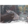 Image 6 : Original K.F. Roahen Montana Tinted Photograph