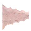 Image 3 : Kentucky Pocola Point 1,000 - 650 B.P.
