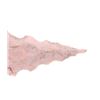 Image 4 : Kentucky Pocola Point 1,000 - 650 B.P.