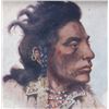 Image 10 : E.S. Paxson Original Indian Series Postcards