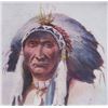 Image 12 : E.S. Paxson Original Indian Series Postcards