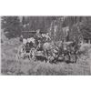 Image 8 : Gallatin Gateway Montana 320 Ranch Photo Book