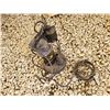 Image 2 : BE Submersible Pump Black