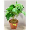 Image 1 : ARTIFICIAL PLANT IN POT CIRC. 6.5 X 14