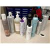 Image 2 : BAG OF HAIR/HYGIENE PRODUCTS INCLUDING PAUL MITCHELL, KENRA, AG AND MORE