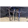 Image 1 : 3 BUNDLES OF CANES, WALKING STICKS AND GOLF CLUB