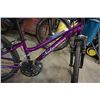 Image 2 : PURPLE NAKAMURA BIKE